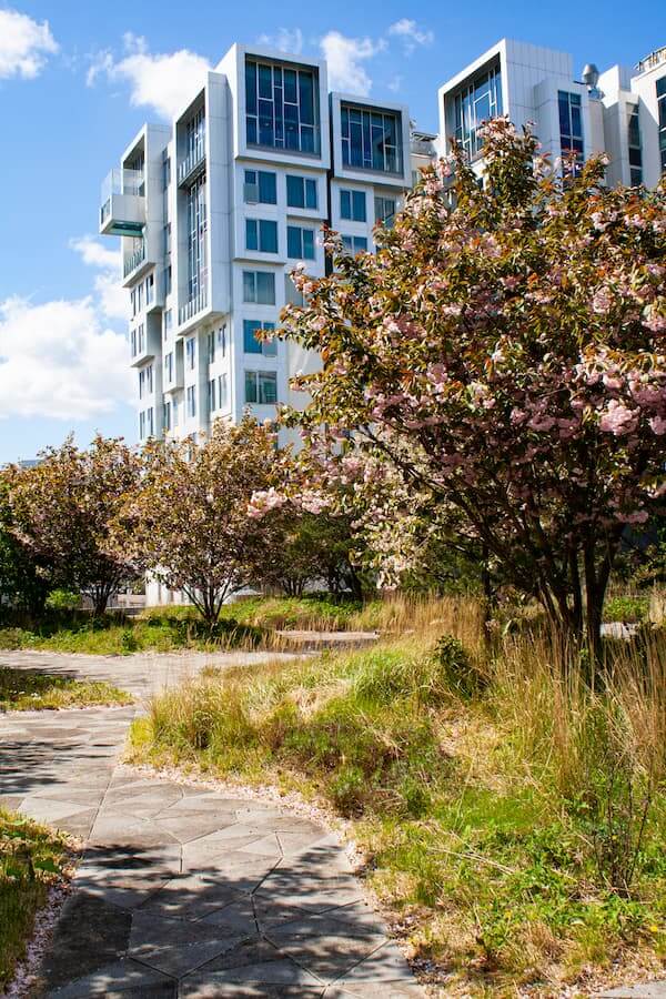 Tivoli Hotel & Congress Center planter et træ