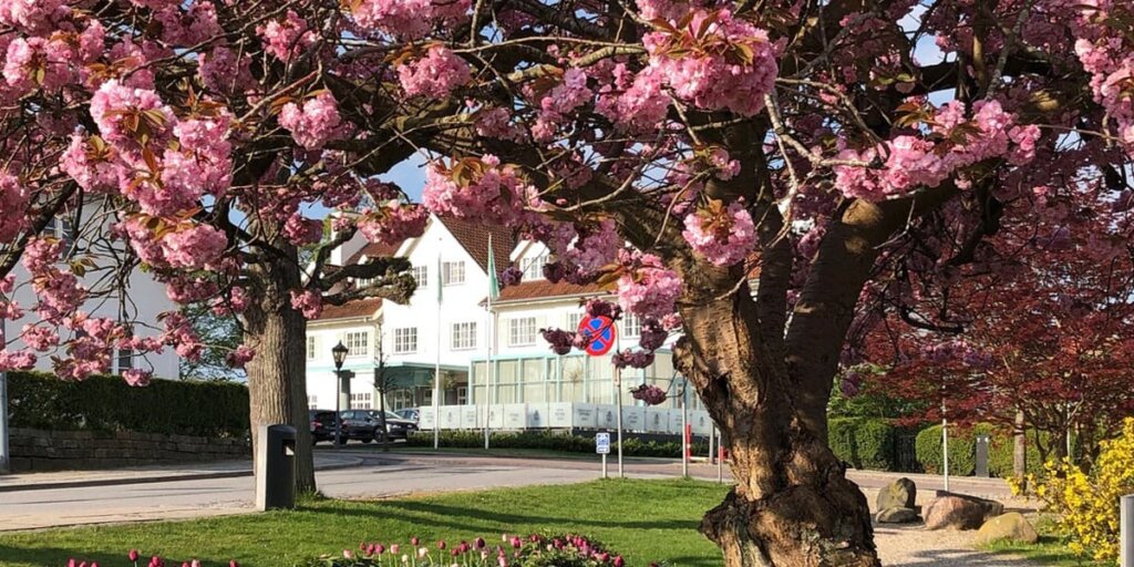 Konferencecenter i Nordsjælland